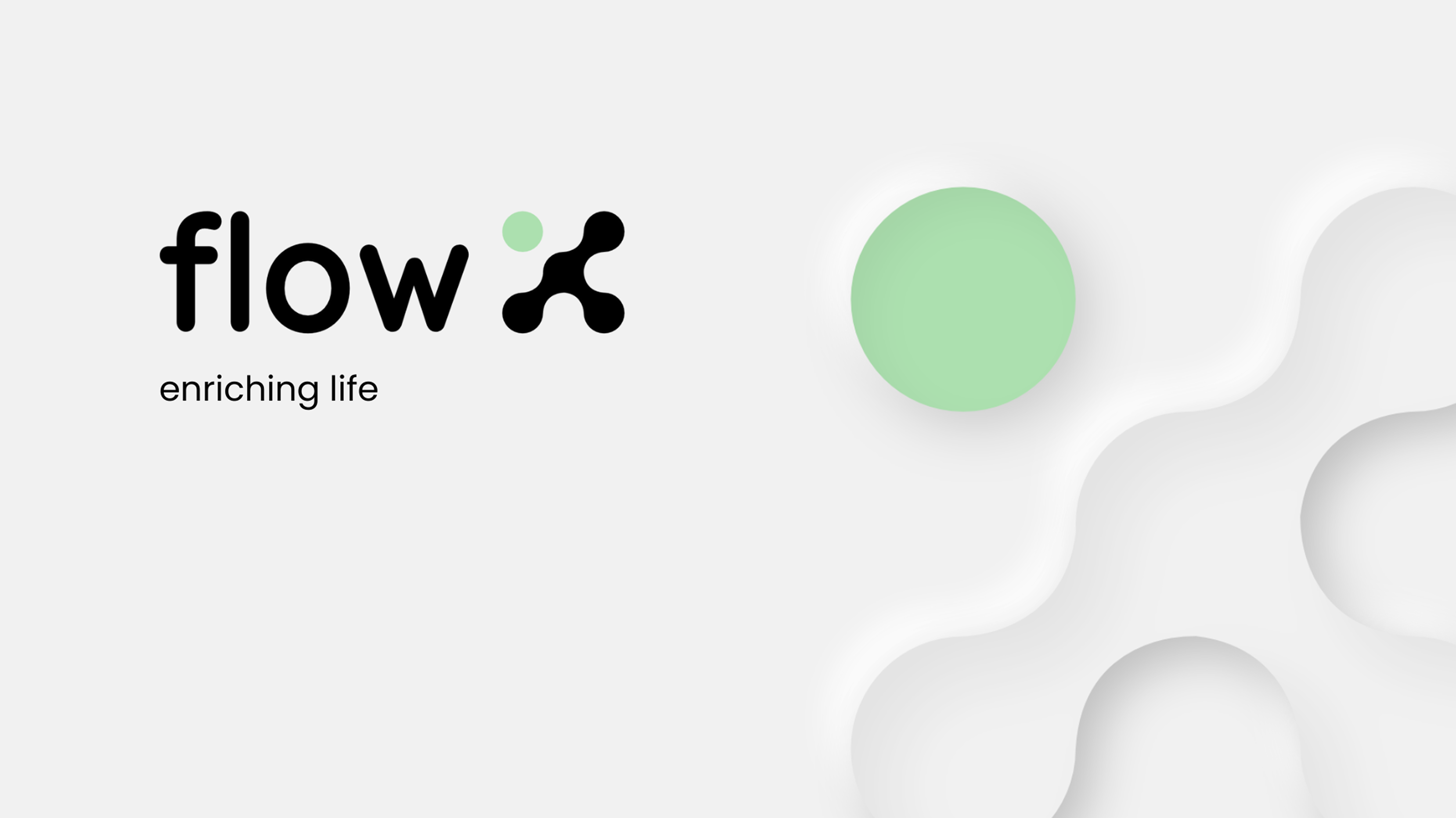 flowX Project Image 3